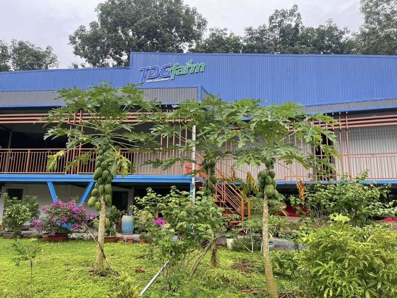 Hình ảnh công ty TDG Farm
